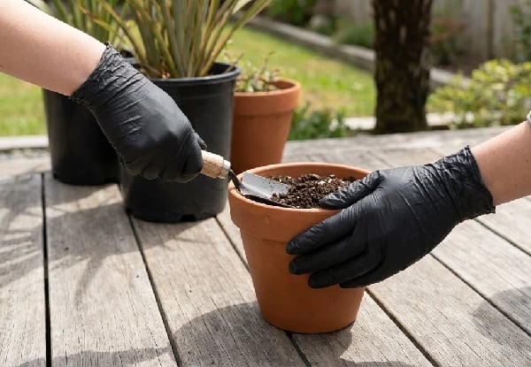 100-Piece Nitrile Disposable Gloves - Available in Two Sizes — photo 2