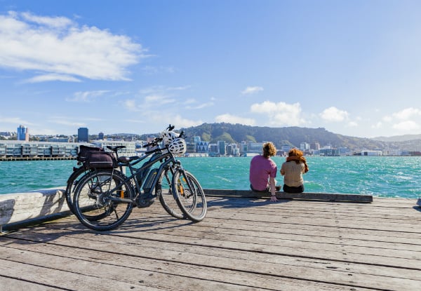 The Ultimate Wellington Bays & Petone Full-Day eBike Adventure - Options for Two & Four People