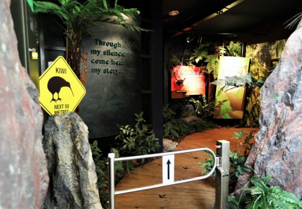 One Adult Entry to The West Coast Wildlife Centre - Options for Child Pass or Family Pass, & to incl. Tuatara & Kiwi Backstage Tour — photo 6