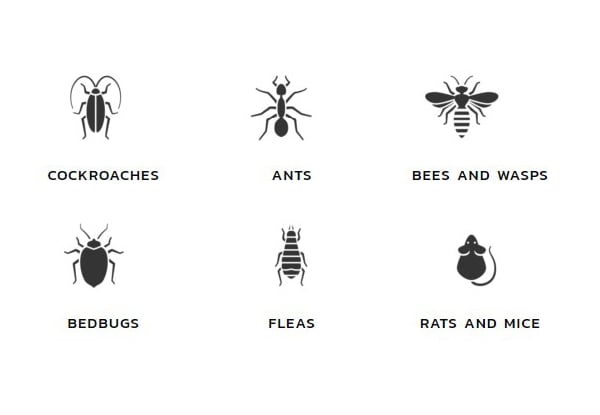 Ventura Pest Management