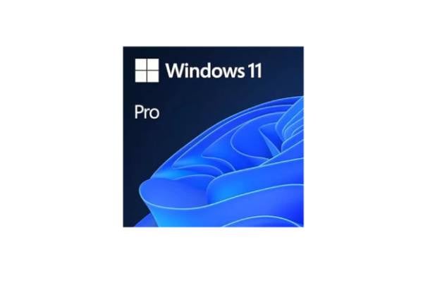Windows 11 Software - Two Options Available — photo 2