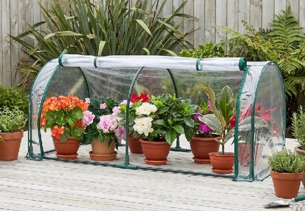 Garden Greenhouse Tunnel — photo 3