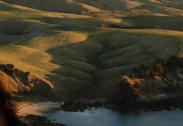 Auckland Discovery 25-Minute Helicopter Flight for Two - $839.64 — photo 3