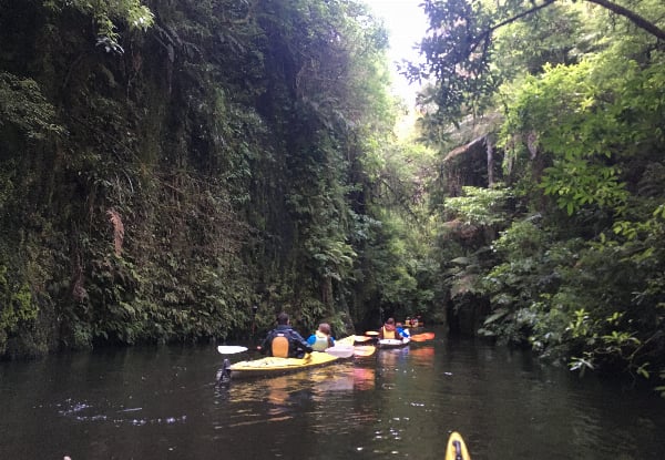 Three-Hour Glow Worm Adventure Kayak Trip - Option for Two Adults or Family Pass