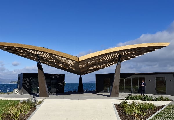 The Ultimate Wellington Bays & Petone Full-Day eBike Adventure - Options for Two & Four People — photo 10