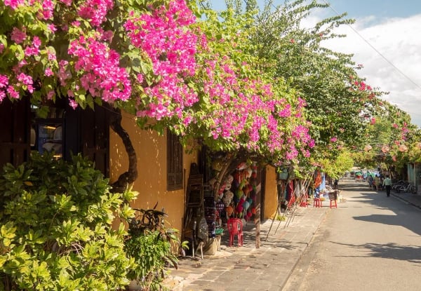 Per Person, Twin Share, 16-Day Vietnam Panorama Tour - Explore Hanoi, Halong Bay, Hue, Hoi An & Ho Chi Minh City with Flights, Cruise, Train Journey, Accommodation, Meals & More — photo 6