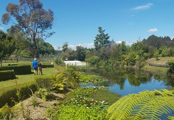 Adult Wairakei Terraces Walkway Entry - Option for Child or Family Available — photo 8