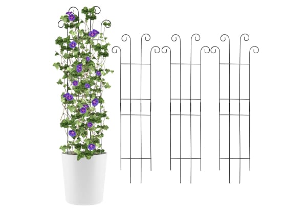 Four-Piece Metal Garden Trellis for Climbing Plants