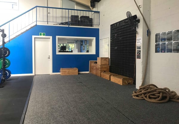 Four-Week Gym Access incl. Unlimited Group Training Sessions — photo 8