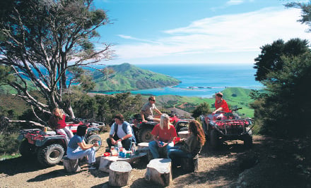 Quadbike Bayview Circuit Ride