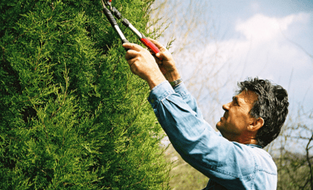 Betreen Property Maintenance