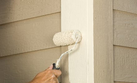 Specialised Painting Services