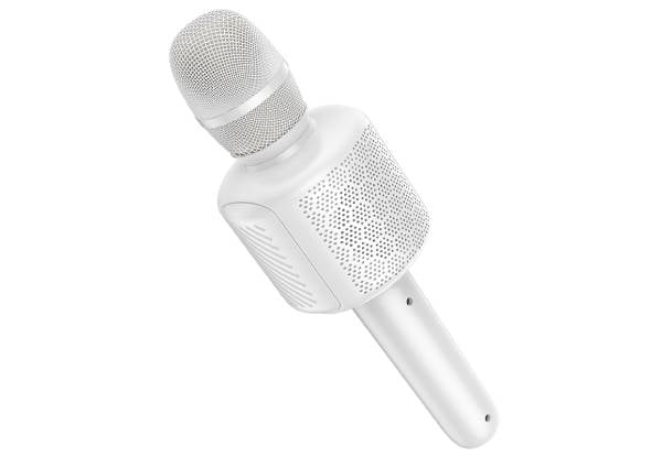 Hoco Karaoke Mic & Speaker, USB/SD/Aux, White — photo 4