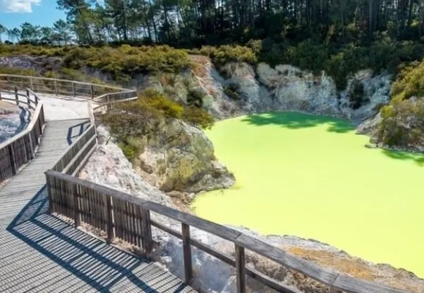 Wai-O-Tapu Thermal Wonderland & Lady Knox Geyser Family Pass for Five $126.26 or Adults $51.56 — photo 3