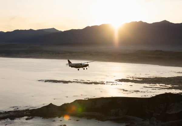 20% Off Adult Fares on a 30-Minute Whale Watch Flight - Option for Private Hire for up to Seven Passengers — photo 9