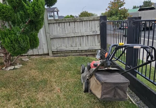 Two or Four Hours of Garden Maintenance Services — photo 4