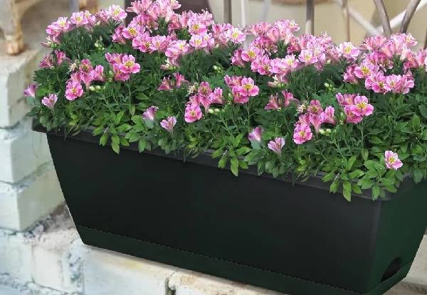 10-Pack 15L Rectangular Planter Box Set with Drainage Tray — photo 5