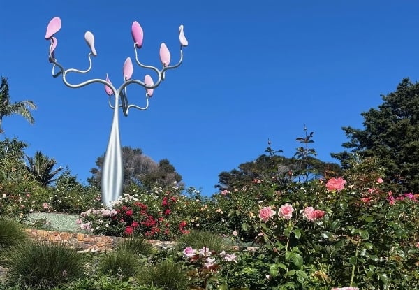 Waiheke Naturally Art, Gardens & Olive Oil Tour - $236.74 per Adult