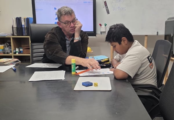 One Term of English or Maths Tutoring - In-Person or Online