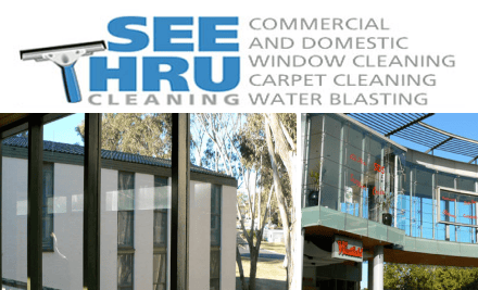 See Thru Cleaning