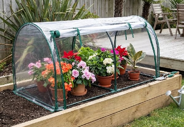 Garden Greenhouse Tunnel — photo 4