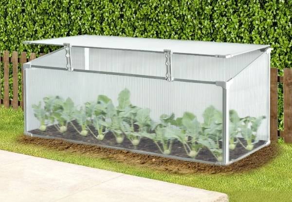Mini Aluminium Frame Greenhouse with Roof Vent - Available in Two Sizes — photo 9