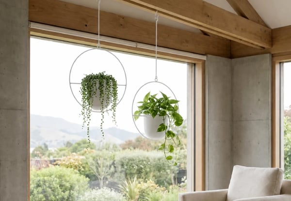 Two Minimalist Round Plant Hanger - Available in Three Colours — photo 6