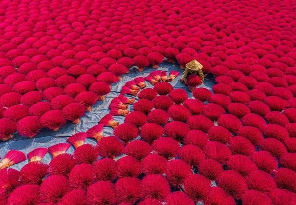 Per Person, Twin Share, 16-Day Vietnam Panorama Tour - Explore Hanoi, Halong Bay, Hue, Hoi An & Ho Chi Minh City with Flights, Cruise, Train Journey, Accommodation, Meals & More — photo 4