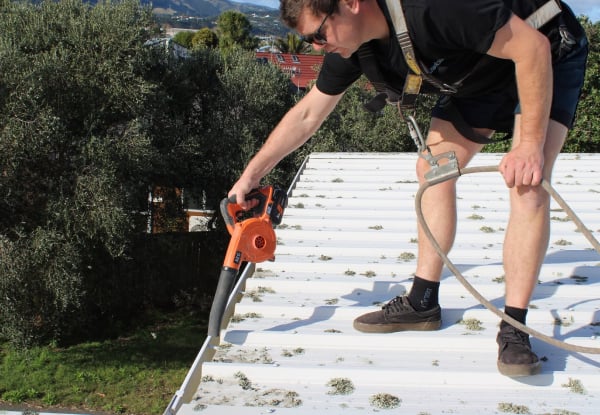 Roof Restore Treatment incl. Gutter Clear-Out & Roof Health Report - Options for Up to 400m2 — photo 8