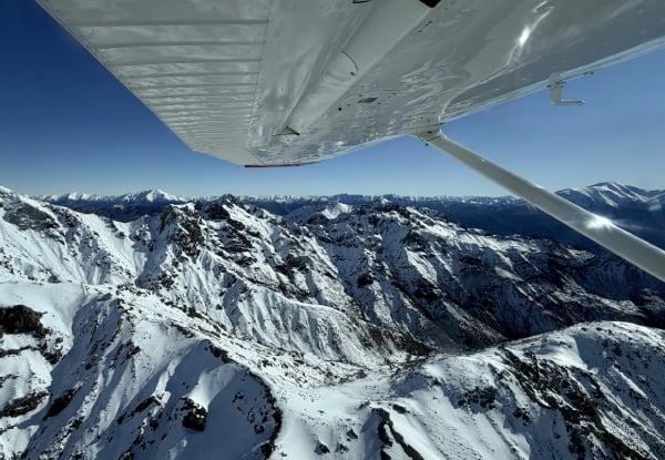 20% Off Adult Fares on a 30-Minute Whale Watch Flight - Option for Private Hire for up to Seven Passengers — photo 5