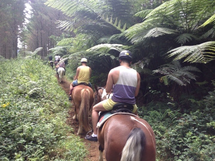 Horses4Fun Riding School
