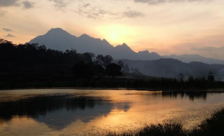 Lillydale Farmstay - Scenic Rim Region QLD