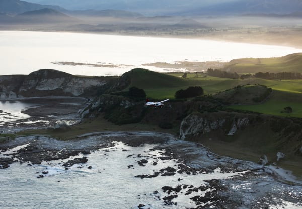 20% Off Adult Fares on a 30-Minute Whale Watch Flight - Option for Private Hire for up to Seven Passengers — photo 3