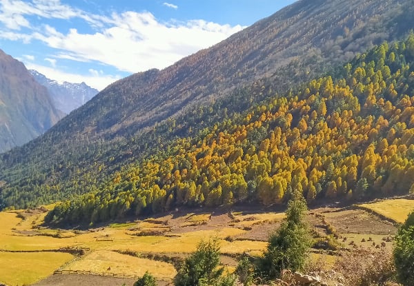 Per Person, Twin-Share 14-Night/15-Day Nepal Manaslu Circuit Trek Package incl. Accommodation, Airport Transfers, Transportation, Guide, Permits & More — photo 4