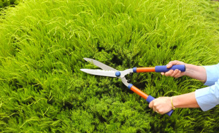Theos Mowing