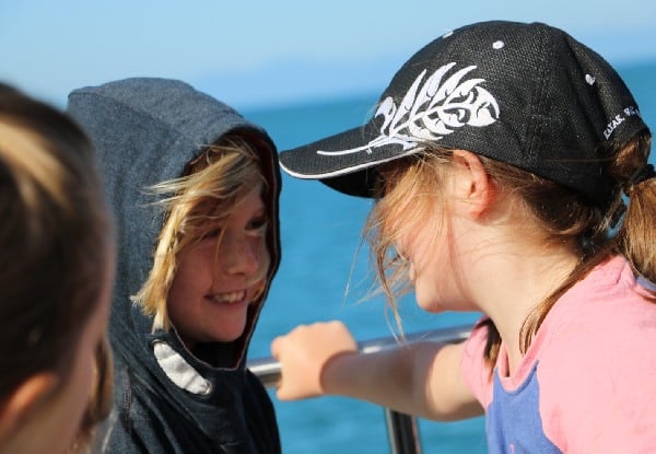 Abel Tasman National Park Vista Happy Hour Cruise for One Adult incl. One Complimentary Child Ticket — photo 7