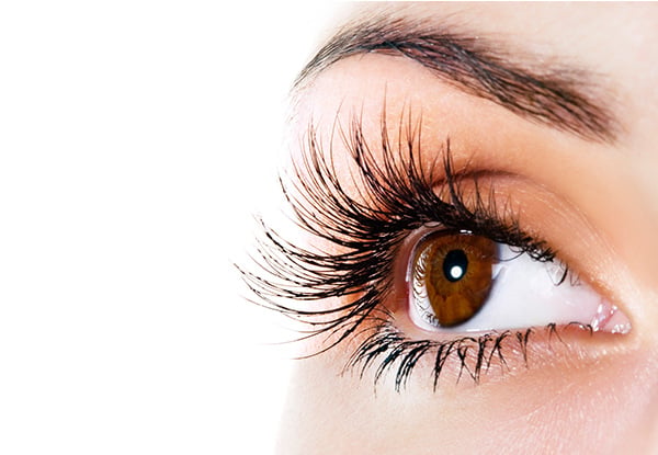 $69 for a Rejuvenate Package incl. Back, Neck & Shoulder Massage, Essential Facial, Brow Shape, Brow Tint & Lash Tint (value up to $130) — photo 5