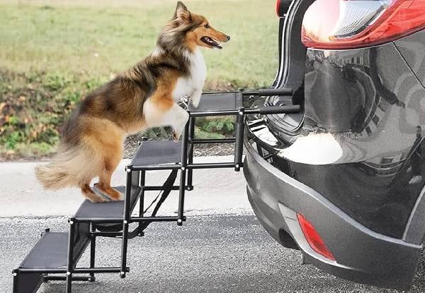 Four-Step Foldable Dog Stairs
