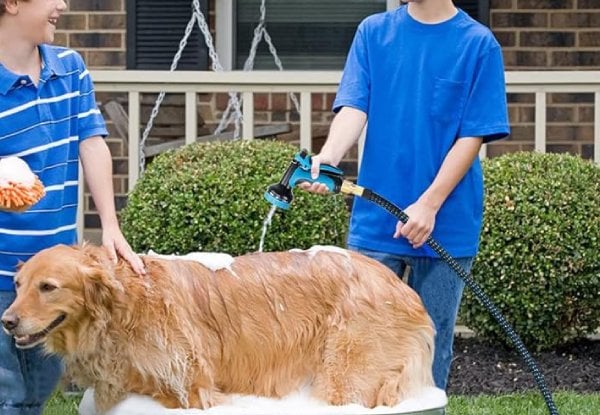 Expandable Garden Hose Pipe - Three Sizes Available — photo 4