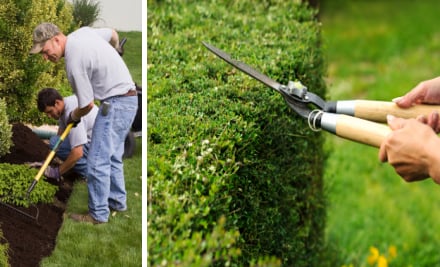 A+ Gardens & Maintenance