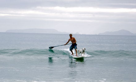Walk On Water Stand Up SurfBoards NZ Ltd