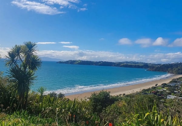 Waiheke Naturally Art, Gardens & Olive Oil Tour - $236.74 per Adult — photo 4