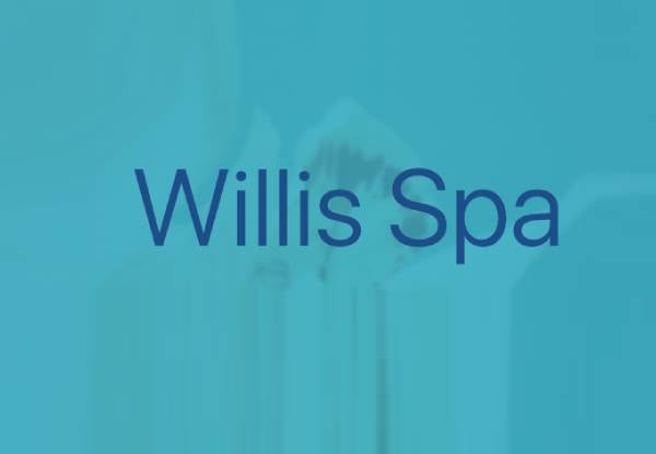 Hour Massage Experience at Willis Spa - Option for Balinese or Deep Tissue Massage — photo 2