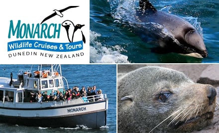 Monarch Wildlife Cruises & Tours