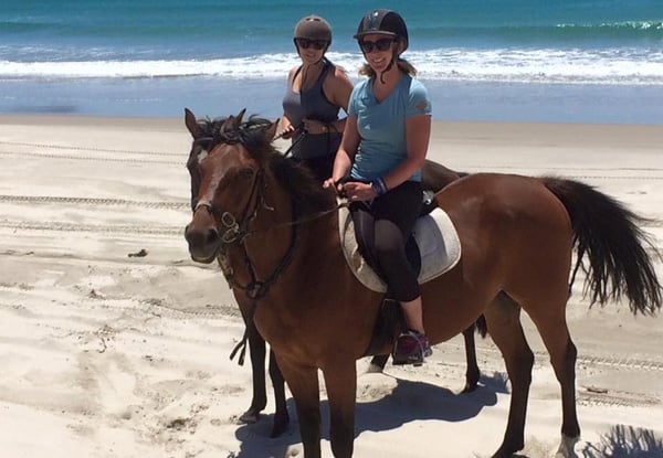 One-Hour Beach Horse Trek for One Adult - Options Available for a Child, Two People & a Two-Hour Intermediate Trek — photo 2
