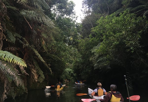 Three-Hour Glow Worm Adventure Kayak Trip - Option for Two Adults or Family Pass — photo 6