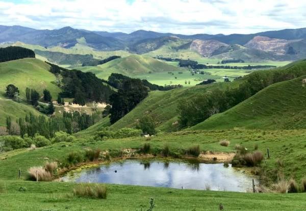 Two-Day / Two-Night Fully Catered Whareama Coastal Walk for Two People incl. Accommodation & Meals - Options for Groups up to Eight People — photo 13