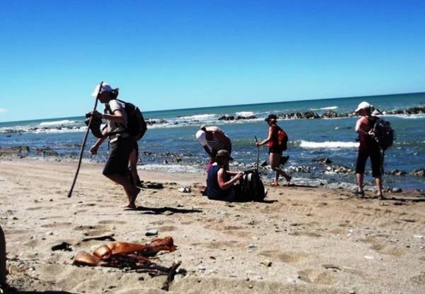 Two-Day / Two-Night Fully Catered Whareama Coastal Walk for Two People incl. Accommodation & Meals - Options for Groups up to Eight People — photo 5