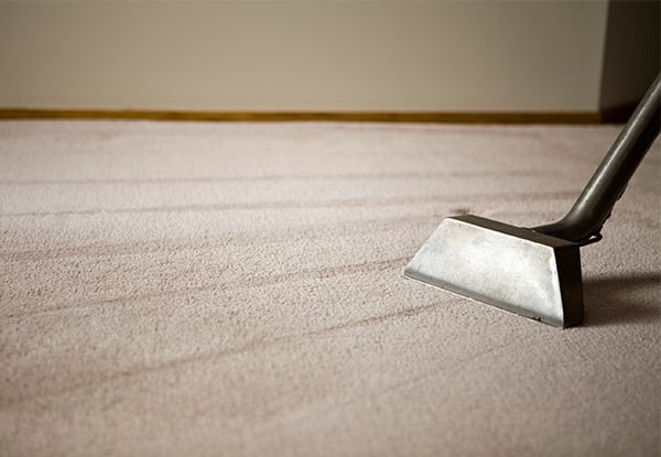 Professional Carpet Cleaning Service for Your House - Options for up to Five-Bedroom Homes — photo 2