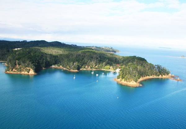 Return Pass on the Kawau Royal Mail Run Super Cruise - Options for Adults, Children, or Group Pass — photo 11